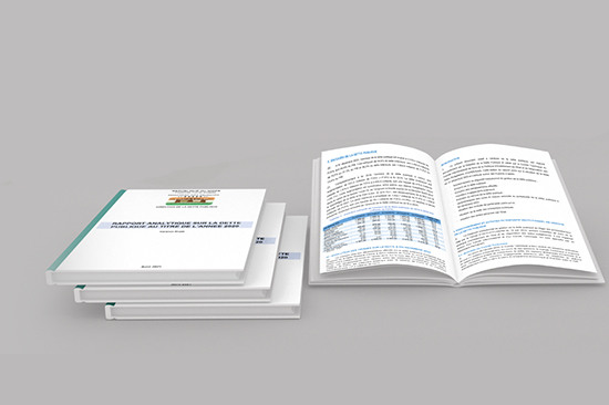 Rapport analytique sur la dette publique au titre de l’année 2020